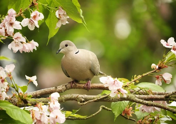 3 con giáp may mắn, sự nghiệp ổn định, tài chính dư dả từ 20/8 này