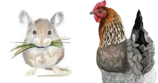 Tuần mới (29/11-5/12): 3 con giáp vận may ngập tràn, gánh vàng mỏi lưng