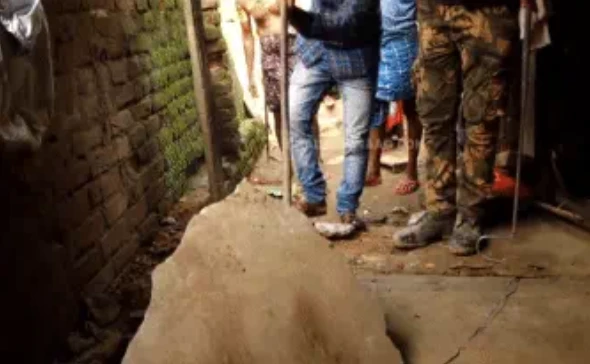 Video: Phát hiện điều bất thường, chuyên gia tới và cái kết ít ai ngờ