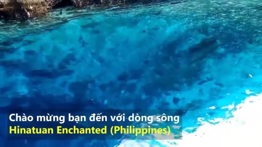 Video: Bí ẩn dòng sông sạch nhất thế giới, nước có vị mặn như biển