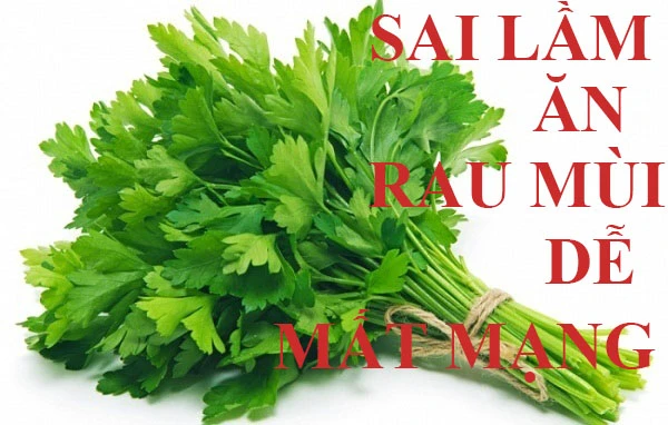 Video: Sai lầm khi ăn rau mùi dễ rước ung thư vào người