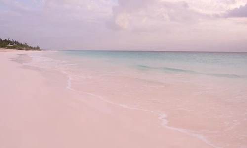 Ngẩn ngơ bãi biển cát hồng ở Bahamas