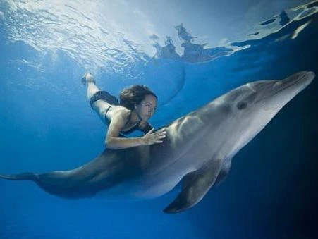 Video: Sẽ thế nào nếu con người sống dưới đáy biển?