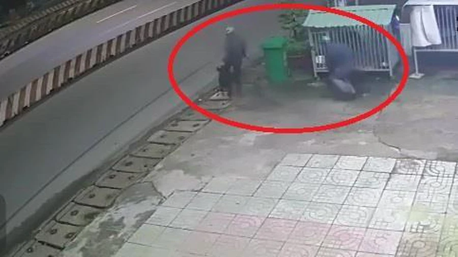 Video: Bảo vệ ngủ say, cẩu tặc vào tận chuồng trộm chó