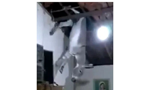 Video: Đang ăn cơm, thấy một con lừa từ trên trời rơi xuyên mái nhà xuống đất