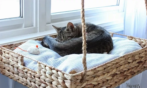 Top 5 ý tưởng trang trí cửa sổ giúp ngôi nhà bừng sáng