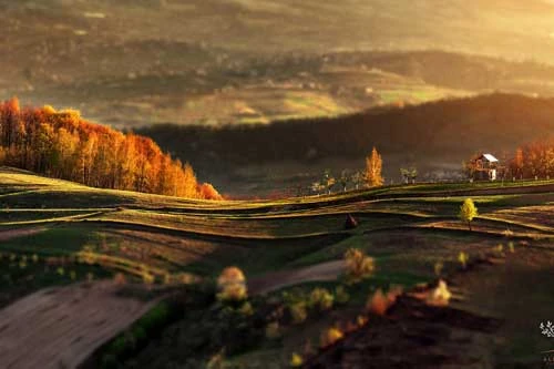 Khuôn hình đắt giá của mùa thu Romania từ máy ảnh rẻ tiền