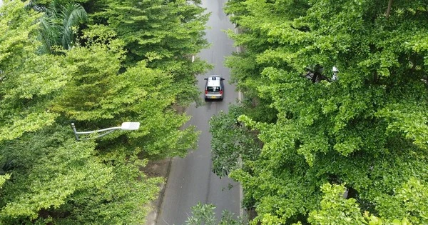 Những con đường rợp bóng cây xanh giữa ngày hè ‘đổ lửa’ tại Hà Nội