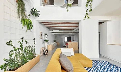 Trang trí nội thất nhà đẹp với những cây xanh sáng tạo