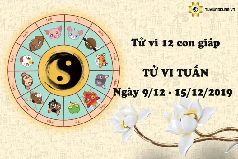 Video: Tử vi tuần mới từ 9/12 đến 15/12 năm 2019 của 12 con giáp