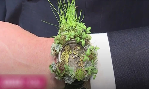 Video: Độc đáo bộ sưu tập đồng hồ từ hoa cỏ thật