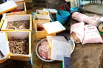 Phạt 126 triệu đồng cơ sở xả thải, bán 3,5 tấn mỡ, lòng bẩn