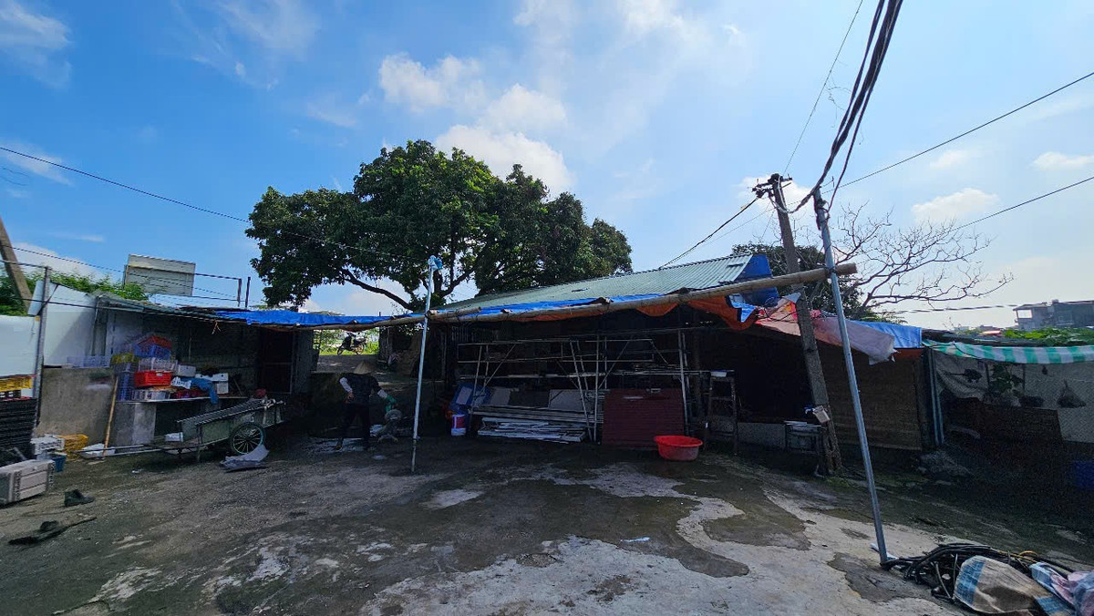 Khi phát hiện nạn nhân tử vong, Thủy ép My, L., Linh cùng đi phi tang xác, đe dọa nếu không hợp tác sẽ tiết lộ việc họ từng bán dâm. Thủy thu dọn quần áo dính máu, đưa xác nạn nhân lên ô tô rồi chở cả nhóm đi Quảng Ninh, nhưng do phát hiện nhiều camera, Thủy quay xe trở lại. Đến sáng sớm 18/7, Thủy lái xe theo hướng cao tốc Hà Nội – Hải Phòng, tìm nơi hẻo lánh để vứt xác.