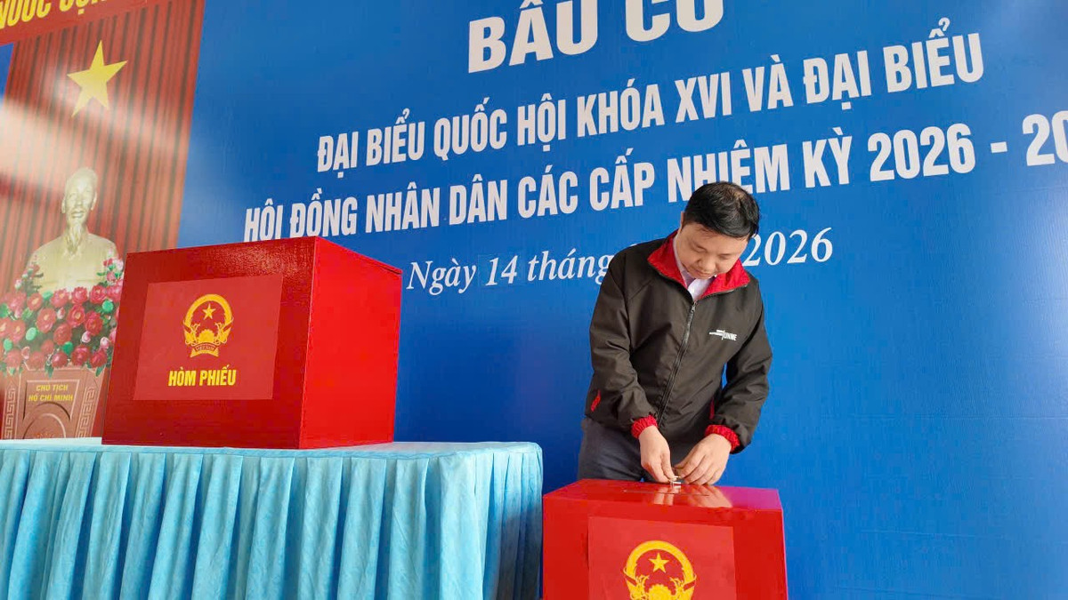 Đồng thời chú trọng tuyên truyền cho ngư dân đang khai thác thủy, hải sản chung quanh vùng biển Bạch Long Vĩ nắm được thông tin để thực hiện quyền và nghĩa vụ của mình trong ngày bầu cử.