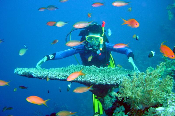 Công việc của họ là nghiên cứu hành vi và đặc điểm của các loài động vật hoang dã, trình độ cử nhân là tối thiểu và 52.186 USD là tổng số tiền mà các nhà động vật học kiếm được trong một năm.