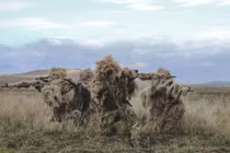 Quân đội Nga sử dụng "áo tàng hình" tập kích phòng tuyến Ukraine