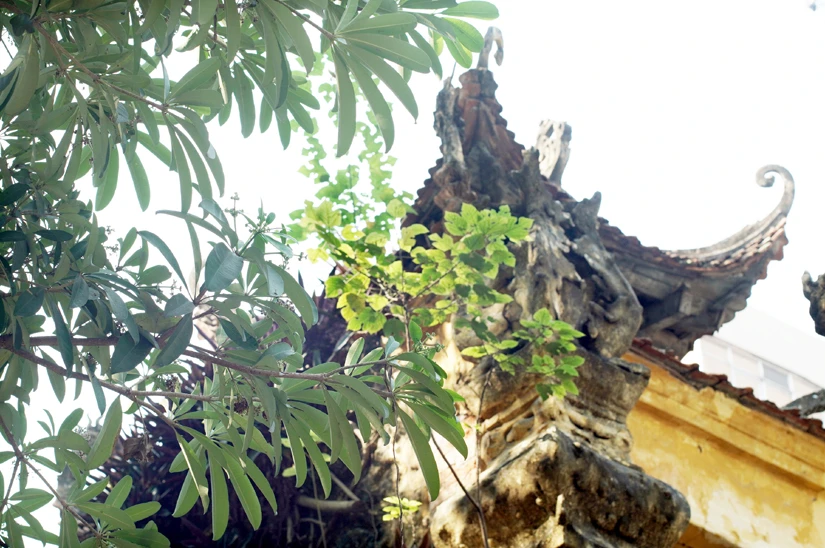 Hà Nội: Thanh bình trong nắng cuối thu