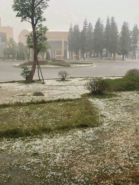 Mưa đá rơi như tuyết trắng trời thị trấn Nông trường Mộc Châu