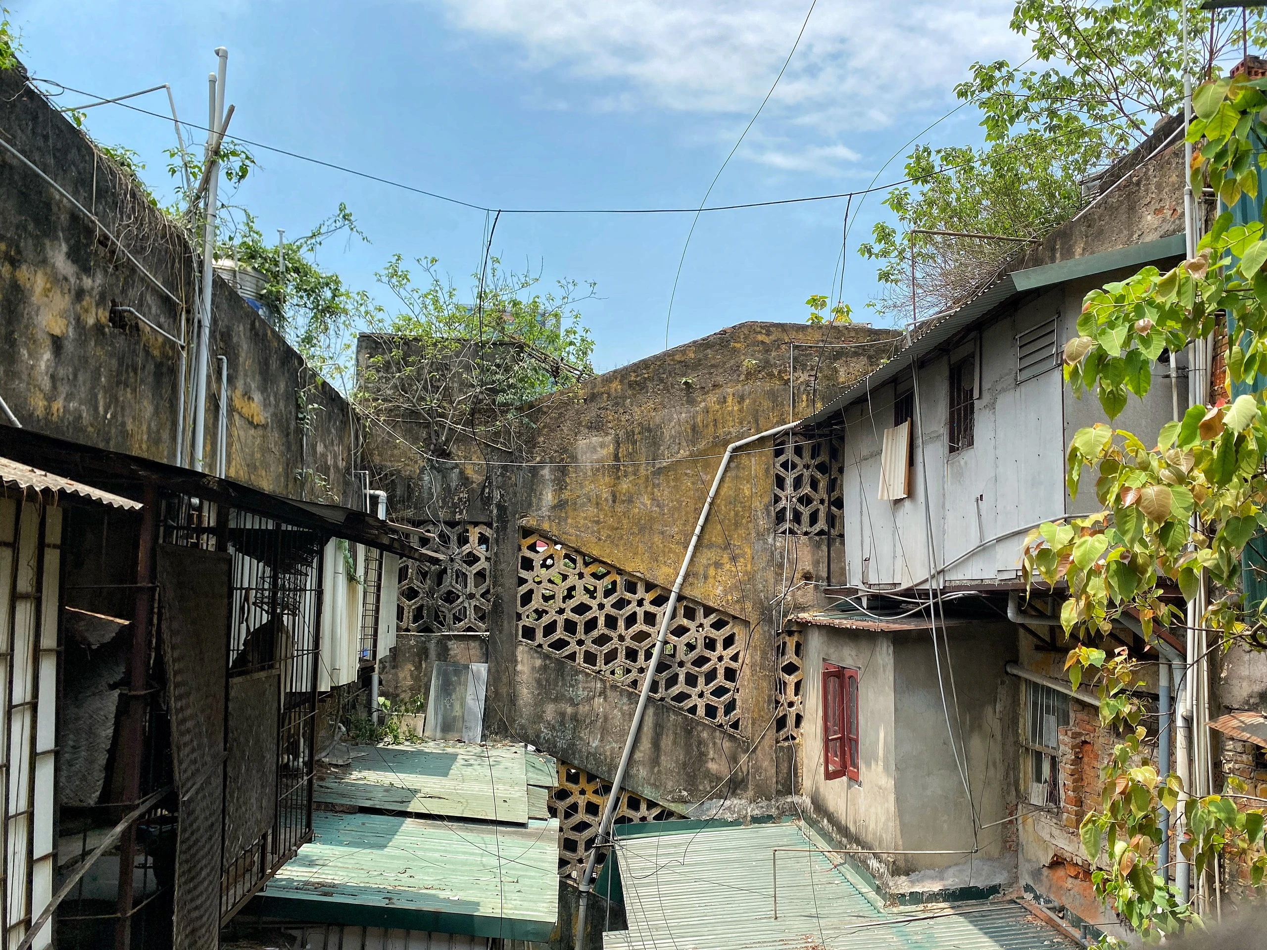 Cận cảnh khu tập thể cũ ở Hà Nội xuống cấp, cây mọc trên tường