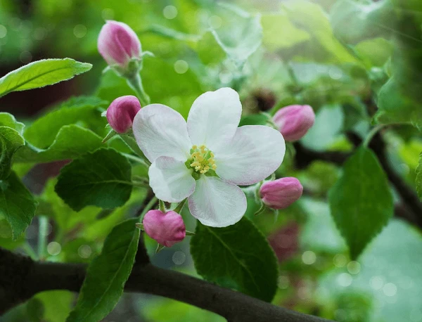 Sau ngày 21/7, 3 con giáp có quý nhân giúp đỡ, tài lộc tăng cao