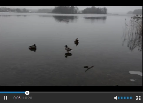 Video: Pha “đạp phanh” trên mặt hồ băng của vịt trời