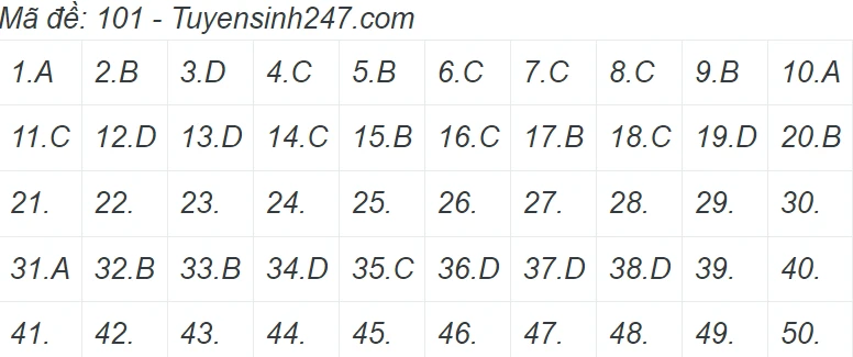 Gợi ý giải đề thi môn Toán kỳ thi tốt nghiệp THPT 2022