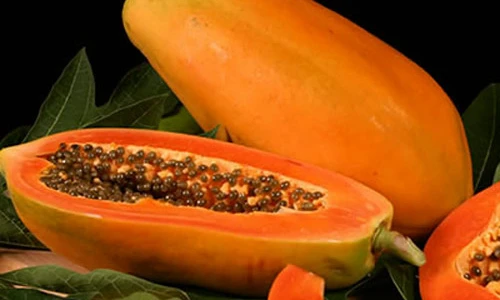 Những người dễ gặp rắc rối khi ăn đu đủ chín
