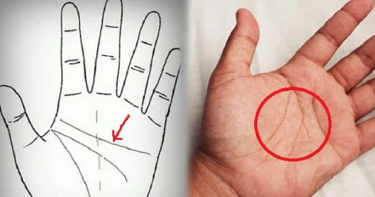 5 đường chỉ tay báo hiệu chủ nhân có số mệnh vất vả