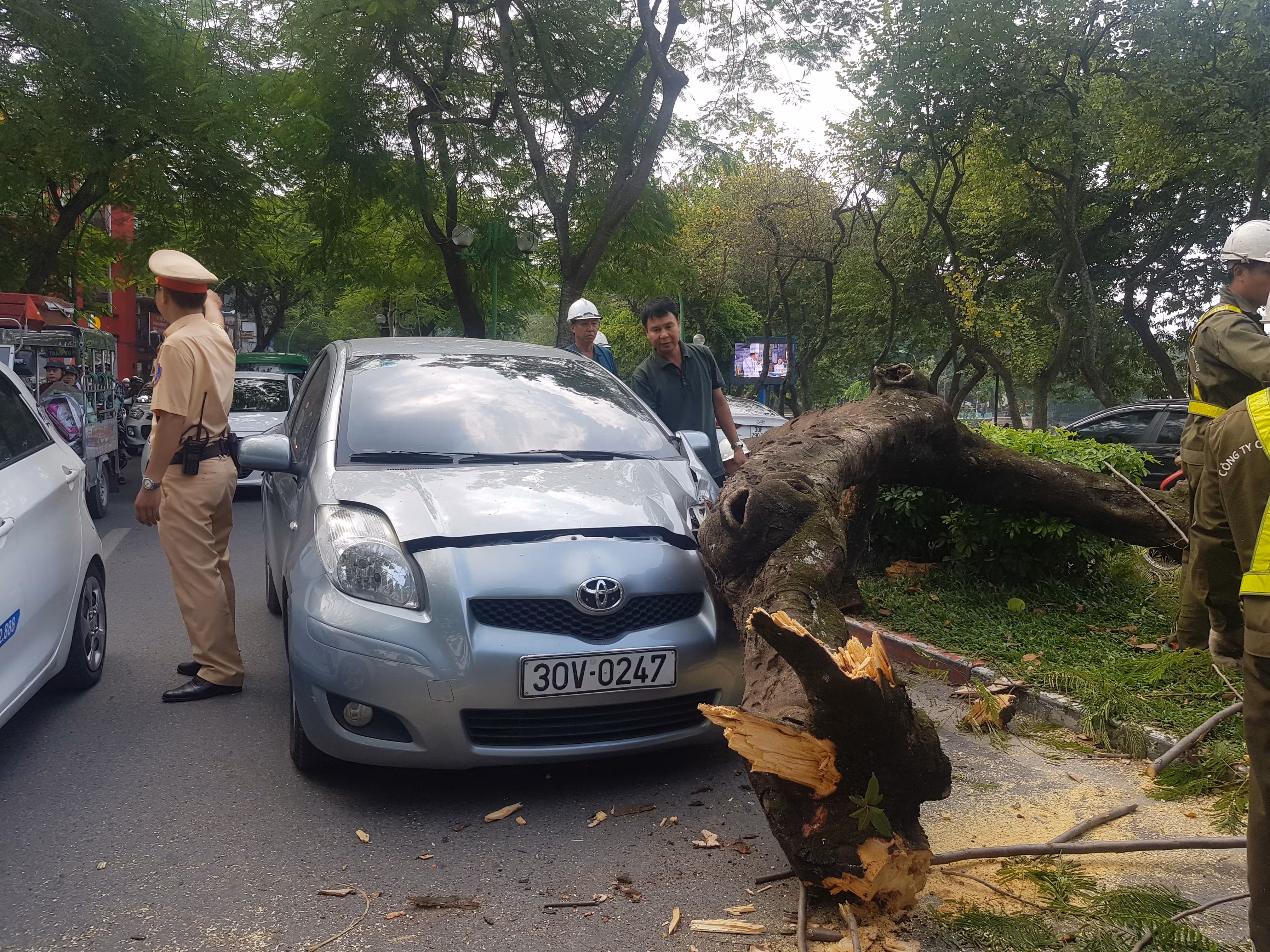 Cây xanh bất ngờ bật gốc đè đầu ô tô đang đi trên đường
