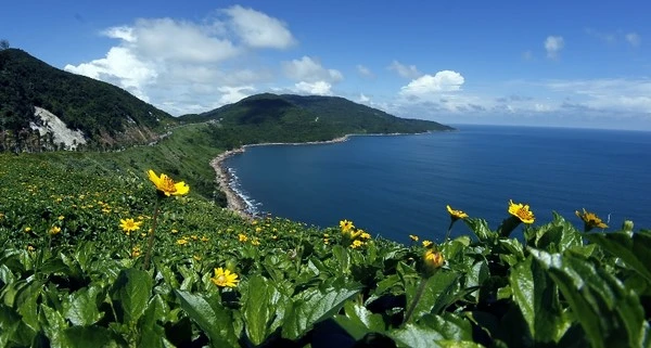 Loạt ảnh đẹp tuyệt mỹ về thành phố đáng sống nhất VN