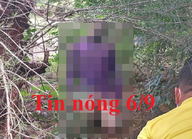 Tin nóng 6/9: Phát hiện thi thể nam giới trong rừng dương