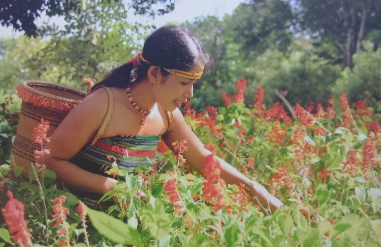 Đẹp mê mẩn loạt ảnh “Mùa xuân cao nguyên“