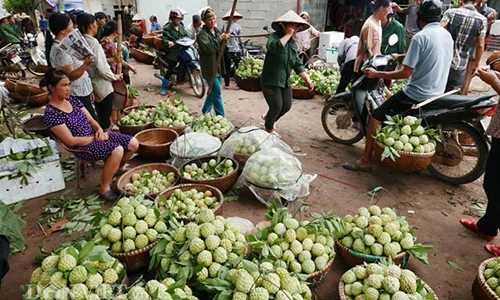 Hình ảnh ấn tượng trong chợ na lớn nhất miền Bắc