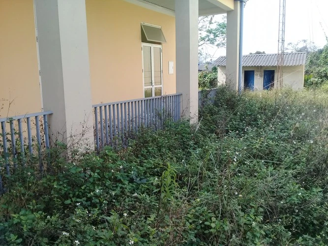 Sau khi sáp nhập xã, nhiều trụ sở để thả bò, cỏ mọc um tùm