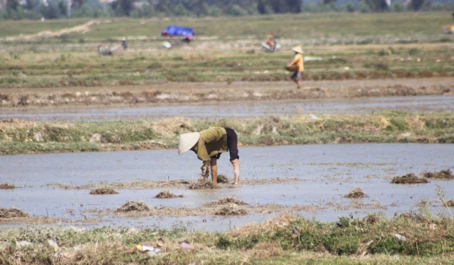 Nông dân vắt áo ra mồ hôi, làm đất dưới nắng 40 độ C