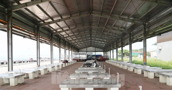 Nhà phân loại hải sản cảng cá Cửa Hội bị bỏ hoang thành bãi đậu xe