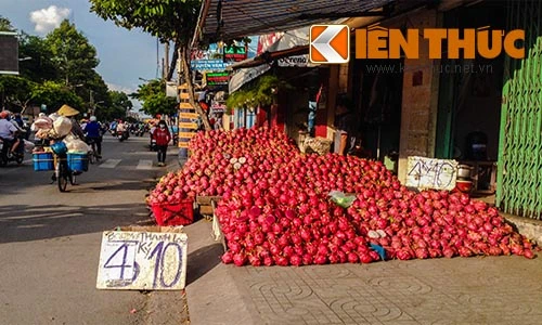 Ào ạt bán tháo thanh long giá rẻ giật mình 2.000 đồng/kg