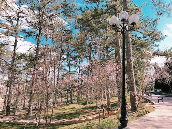 Ngôi trường đẹp mê hồn ở thành phố ngàn hoa của Việt Nam