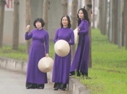 Đùa giỡn tử thần, ngang nhiên đứng giữa đường để chụp ảnh cây bàng Đài Loan