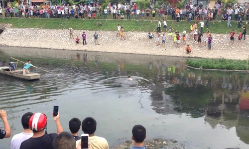 Clip: Tên trộm xe máy bơi dưới sông Tô Lịch thoát thân