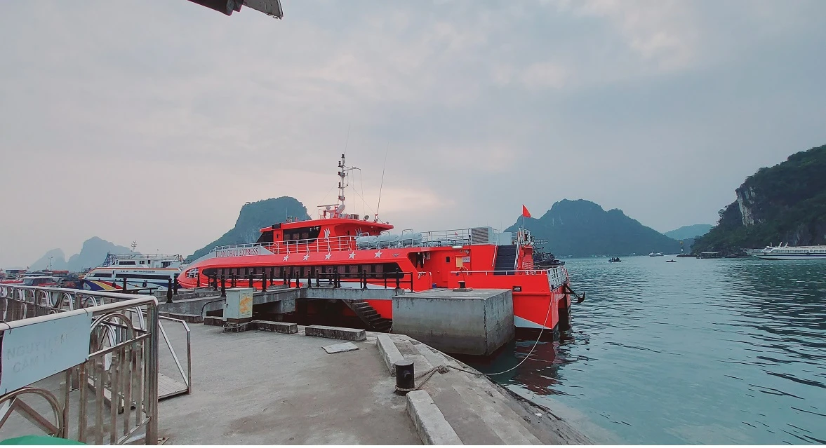 Quảng Ninh: Bến cảng đìu hiu, tàu thuyền nằm im 1 chỗ mùa COVID-19