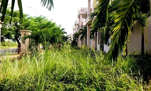 Tận mục dãy biệt thự trăm tỷ bỏ hoang ở Đà Nẵng