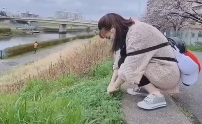 Hội người Việt tại Nhật chia sẻ về những món rau... 0 đồng 