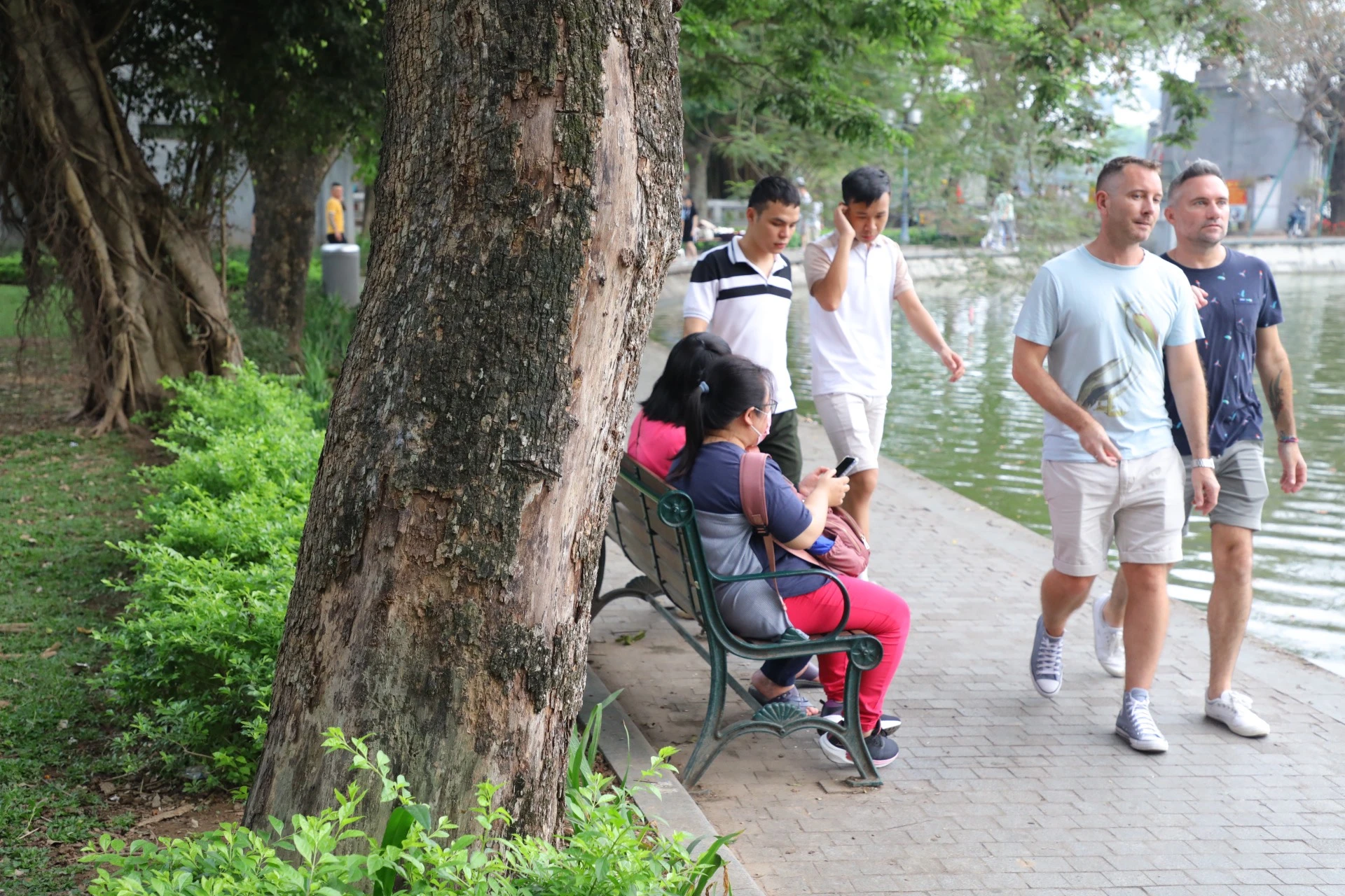 Cận cảnh cây sưa đỏ quý hiếm chết khô bên hồ Hoàn Kiếm