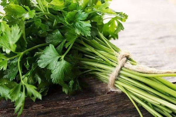 Hầu hết các bộ phận của rau mùi đều có thể sử dụng được, từ thân, lá cho đến hạt. Trong khi lá và thân thường được dùng làm rau ăn kèm hoặc gia vị cho các món canh, bún, phở, thì hạt thường được phơi khô và nghiền thành bột để làm gia vị.