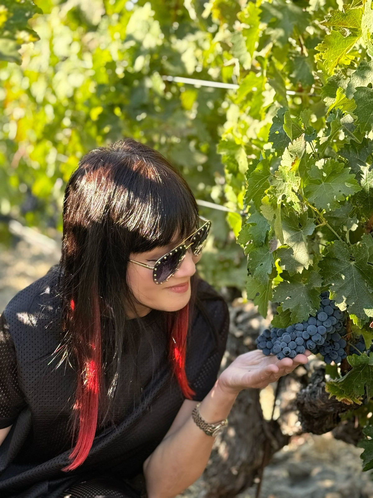 Hiền Mai hào hứng thăm vườn nho ở thung lũng Napa Valley, Mỹ. Ảnh: FB Hiền Mai