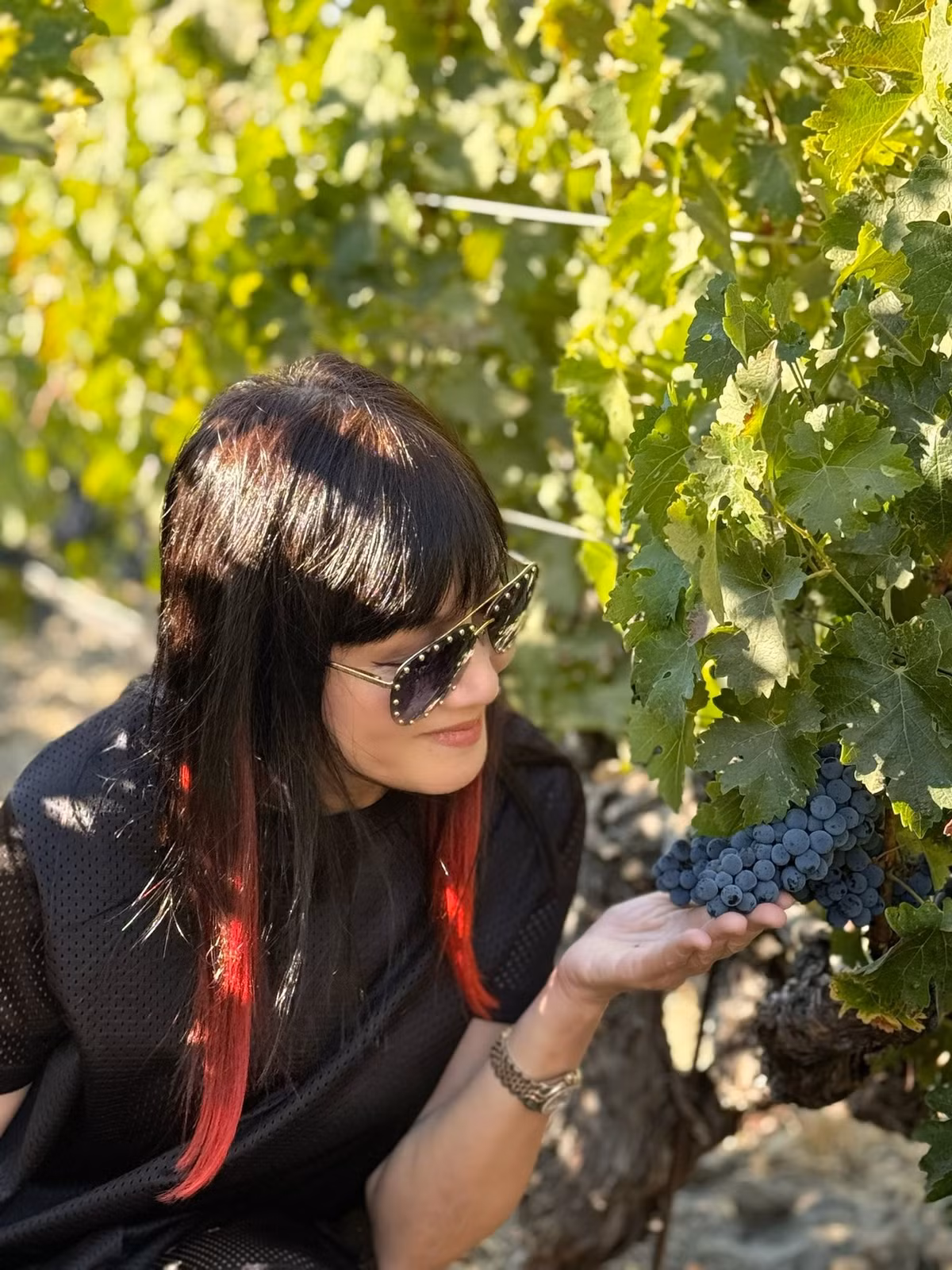 Hiền Mai hào hứng thăm vườn nho ở thung lũng Napa Valley, Mỹ. Ảnh: FB Hiền Mai