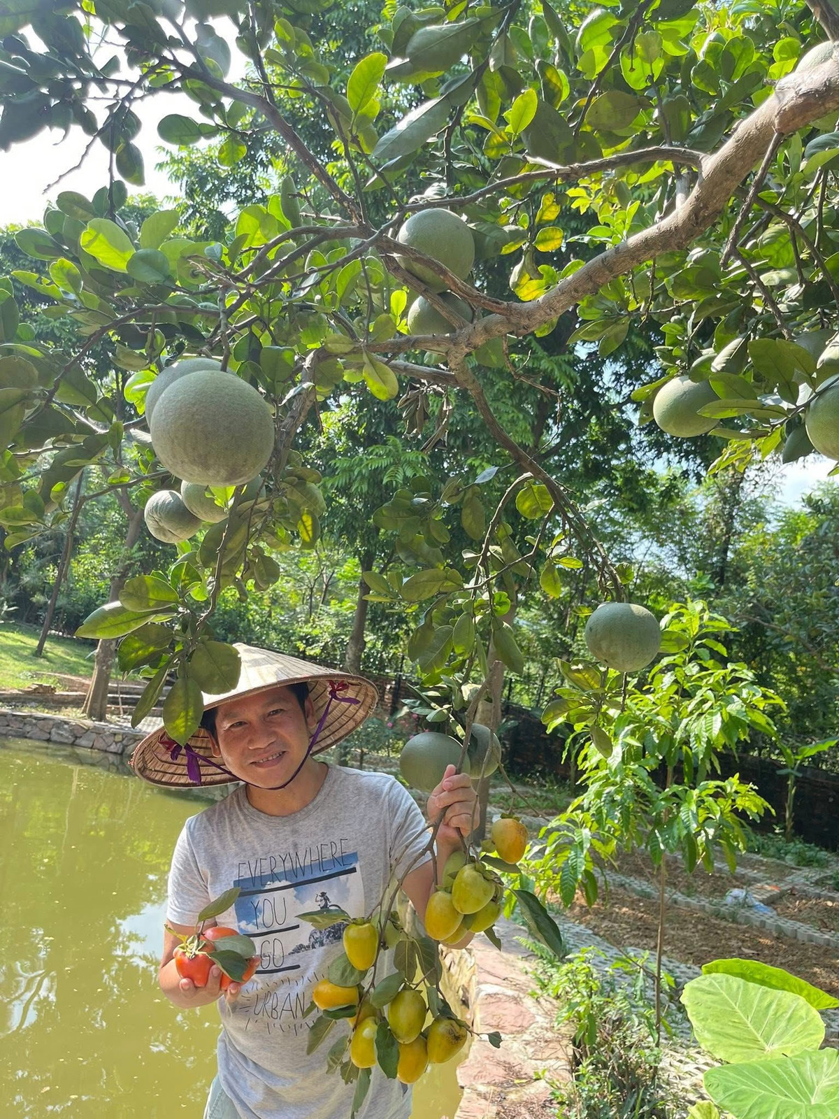 Ca sĩ Trọng Tấn thu hoạch hoa quả tại villa ở Sóc Sơn. Ảnh: FB Ca sĩ Trọng Tấn