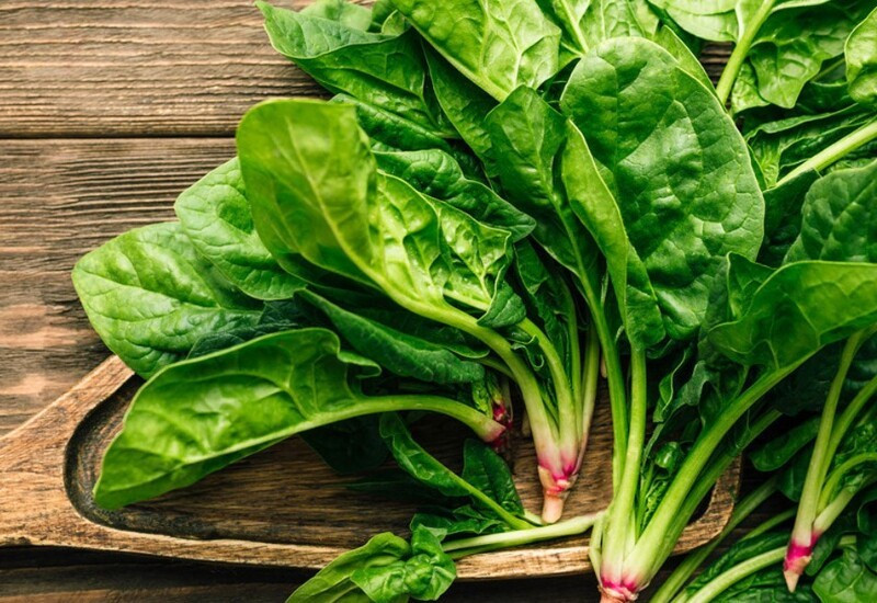 Rau chân vịt giàu folate, sắt, magie và nitrate tự nhiên giúp cải thiện tuần hoàn máu. Các flavonoids trong rau còn hỗ trợ bảo vệ hệ thần kinh, giảm mệt mỏi và tăng cường trí nhớ.