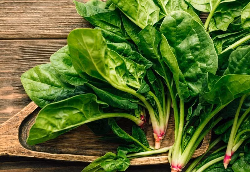 Rau chân vịt giàu folate, sắt, magie và nitrate tự nhiên giúp cải thiện tuần hoàn máu. Các flavonoids trong rau còn hỗ trợ bảo vệ hệ thần kinh, giảm mệt mỏi và tăng cường trí nhớ.